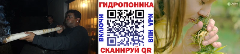 Бошки Шишки VHQ Зарайск